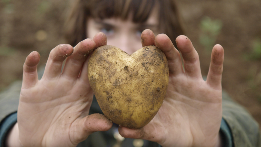 Potatis gav mättnadskänsla vilket ledde till viktminskning. Foto: Shutterstock