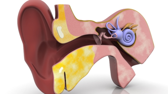 Virus på balansnerven (vestibularisneurit)