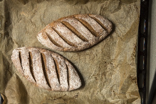 Foto: Ulrika Pousette