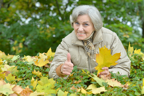 En fjärdedel av Sveriges befolkning kommer att vara 65 år eller äldre år 2050. Foto: Shutterstock